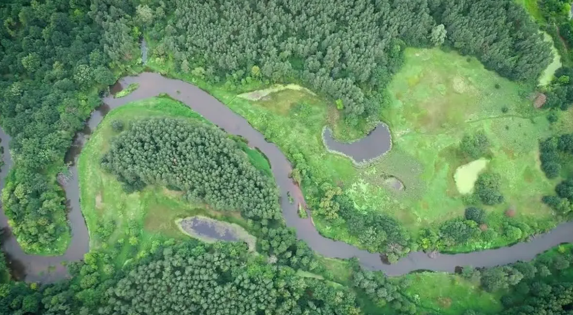 河道环保巡查